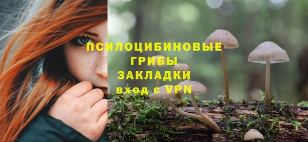 ПСИЛОЦИБИНОВЫЕ ГРИБЫ Балахна